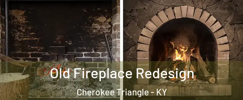 Old Fireplace Redesign Cherokee Triangle - KY