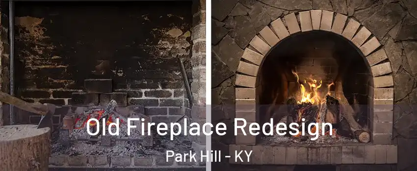 Old Fireplace Redesign Park Hill - KY