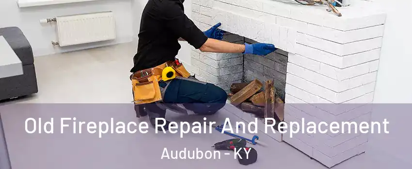 Old Fireplace Repair And Replacement Audubon - KY