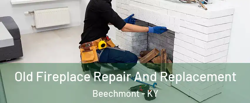 Old Fireplace Repair And Replacement Beechmont - KY