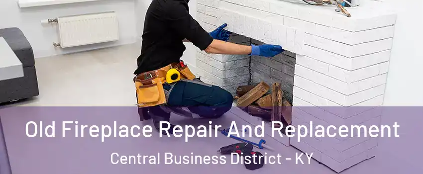 Old Fireplace Repair And Replacement Central Business District - KY