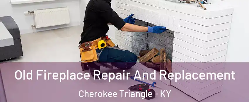 Old Fireplace Repair And Replacement Cherokee Triangle - KY