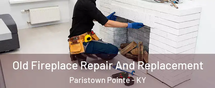 Old Fireplace Repair And Replacement Paristown Pointe - KY