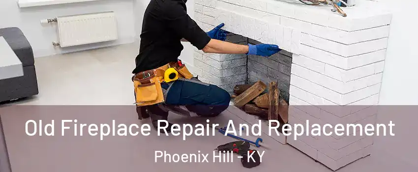 Old Fireplace Repair And Replacement Phoenix Hill - KY