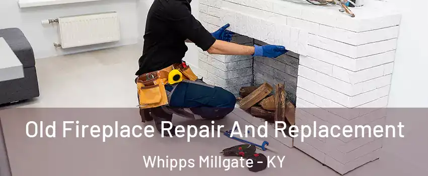 Old Fireplace Repair And Replacement Whipps Millgate - KY