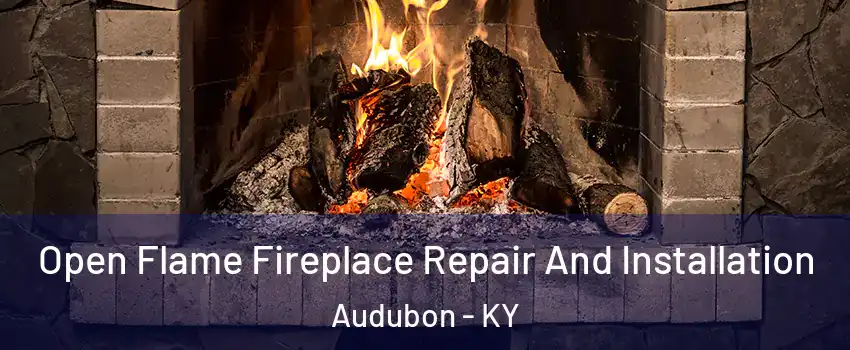 Open Flame Fireplace Repair And Installation Audubon - KY