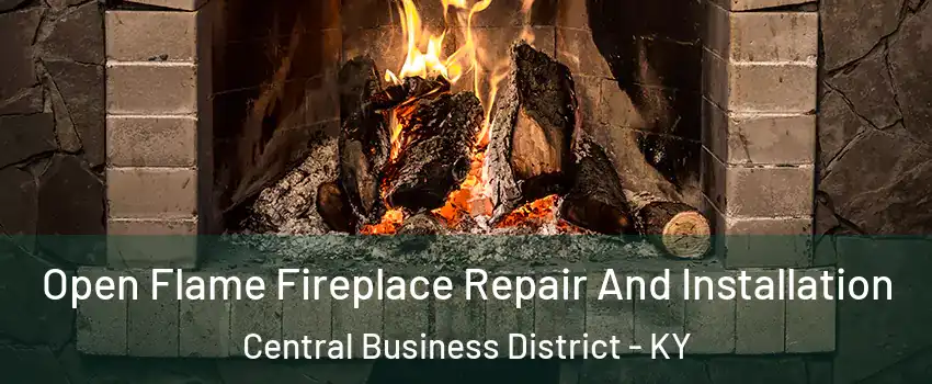 Open Flame Fireplace Repair And Installation Central Business District - KY