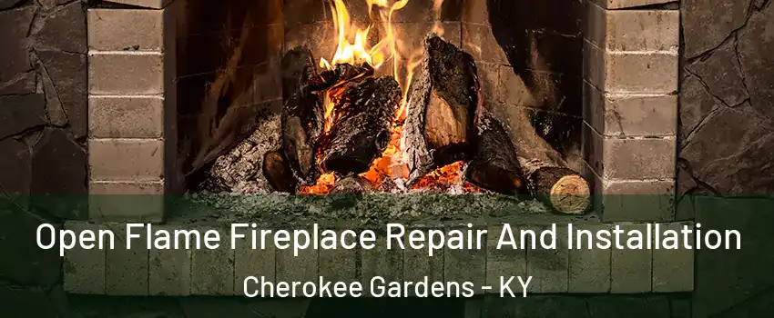 Open Flame Fireplace Repair And Installation Cherokee Gardens - KY