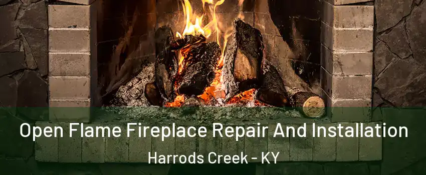 Open Flame Fireplace Repair And Installation Harrods Creek - KY