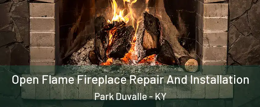 Open Flame Fireplace Repair And Installation Park Duvalle - KY