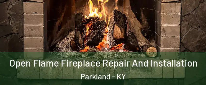 Open Flame Fireplace Repair And Installation Parkland - KY