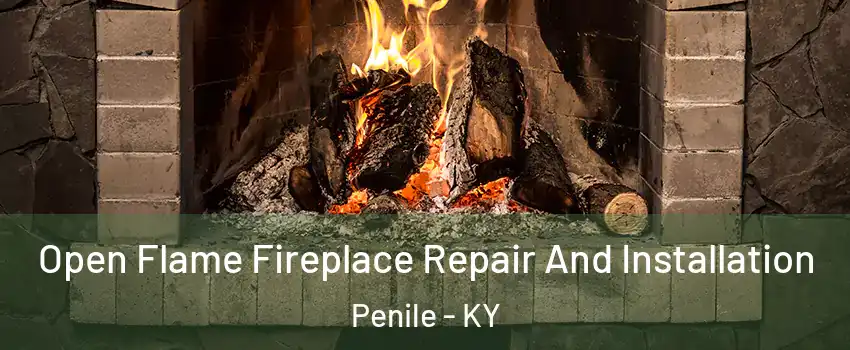 Open Flame Fireplace Repair And Installation Penile - KY