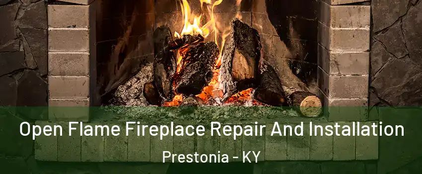 Open Flame Fireplace Repair And Installation Prestonia - KY