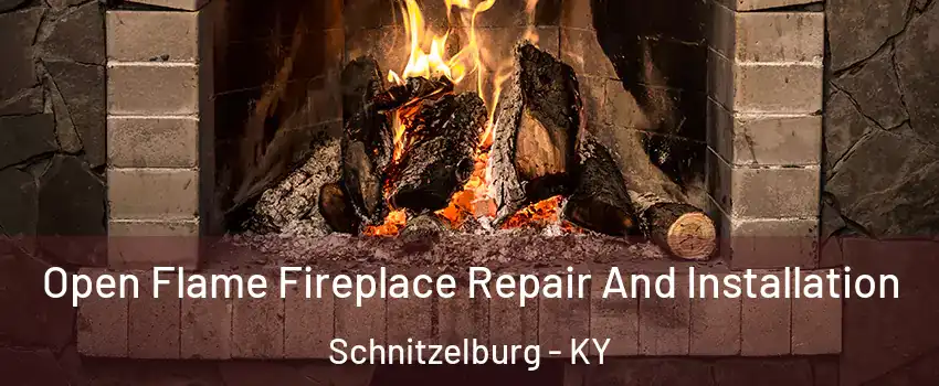 Open Flame Fireplace Repair And Installation Schnitzelburg - KY