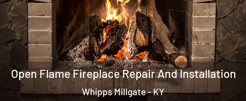 Open Flame Fireplace Repair And Installation Whipps Millgate - KY