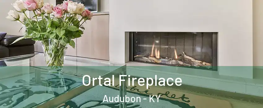 Ortal Fireplace Audubon - KY