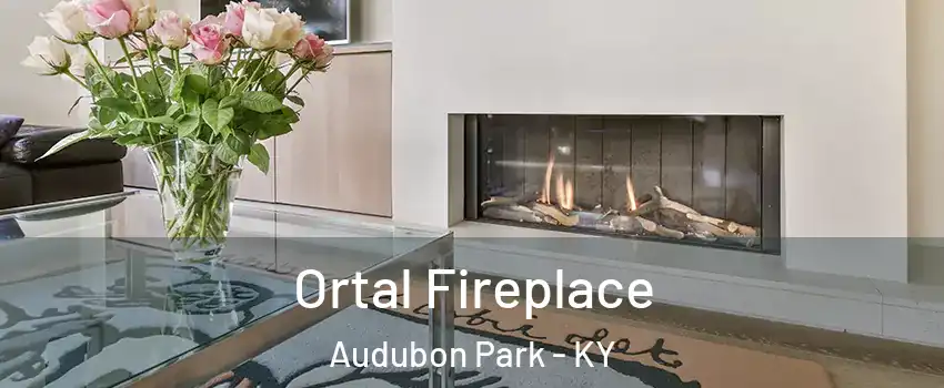 Ortal Fireplace Audubon Park - KY