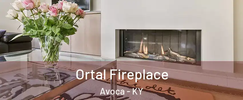 Ortal Fireplace Avoca - KY