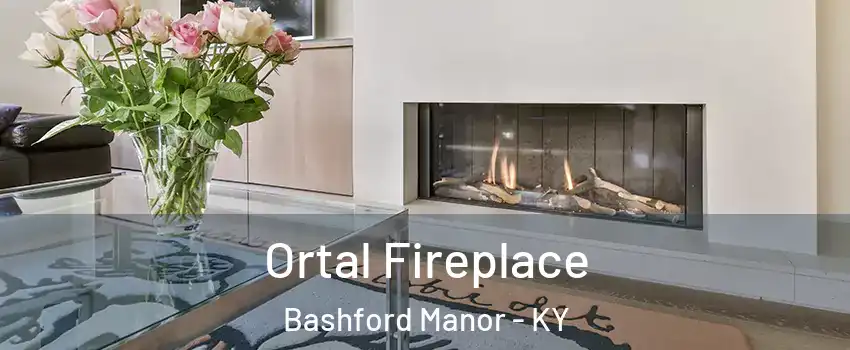 Ortal Fireplace Bashford Manor - KY