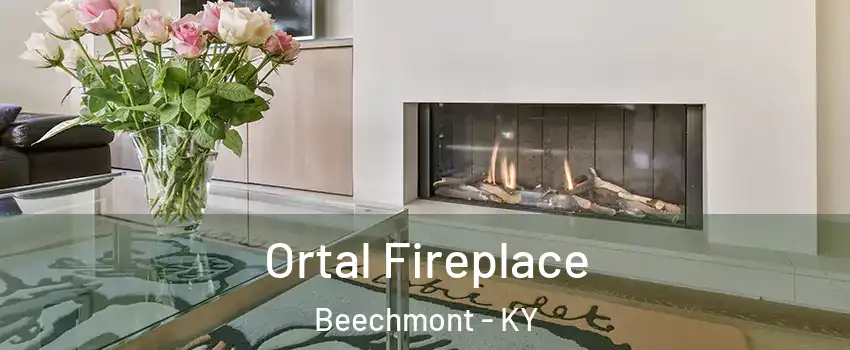 Ortal Fireplace Beechmont - KY