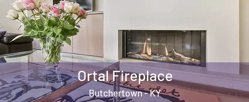 Ortal Fireplace Butchertown - KY