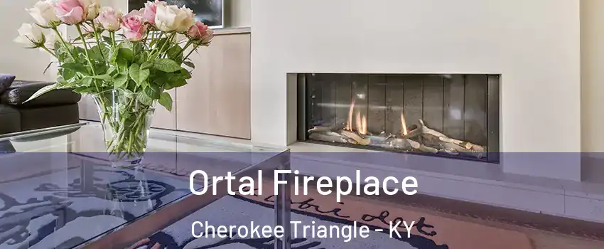 Ortal Fireplace Cherokee Triangle - KY