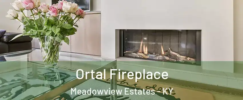 Ortal Fireplace Meadowview Estates - KY