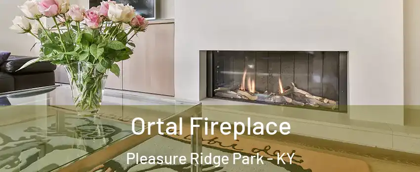 Ortal Fireplace Pleasure Ridge Park - KY