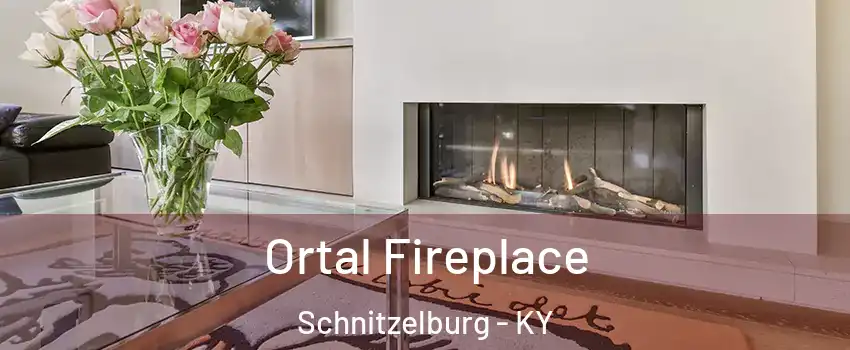 Ortal Fireplace Schnitzelburg - KY