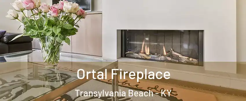 Ortal Fireplace Transylvania Beach - KY