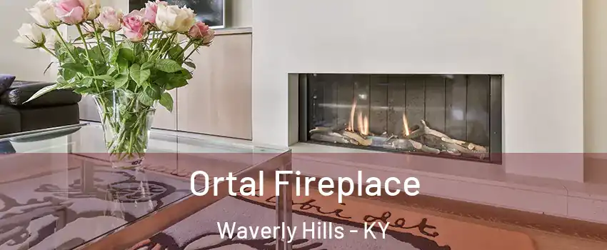 Ortal Fireplace Waverly Hills - KY