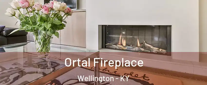 Ortal Fireplace Wellington - KY