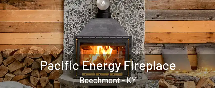 Pacific Energy Fireplace Beechmont - KY