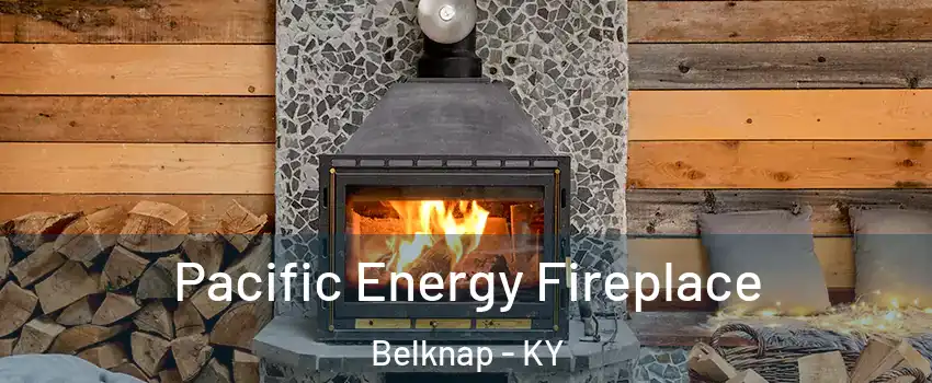 Pacific Energy Fireplace Belknap - KY