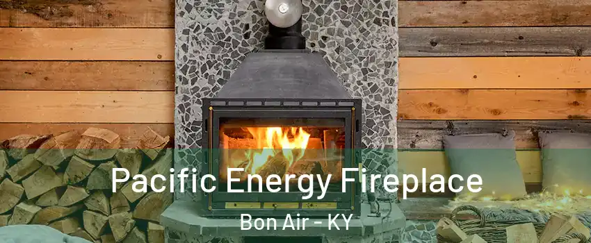 Pacific Energy Fireplace Bon Air - KY