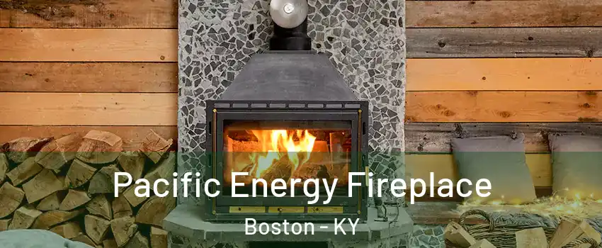 Pacific Energy Fireplace Boston - KY