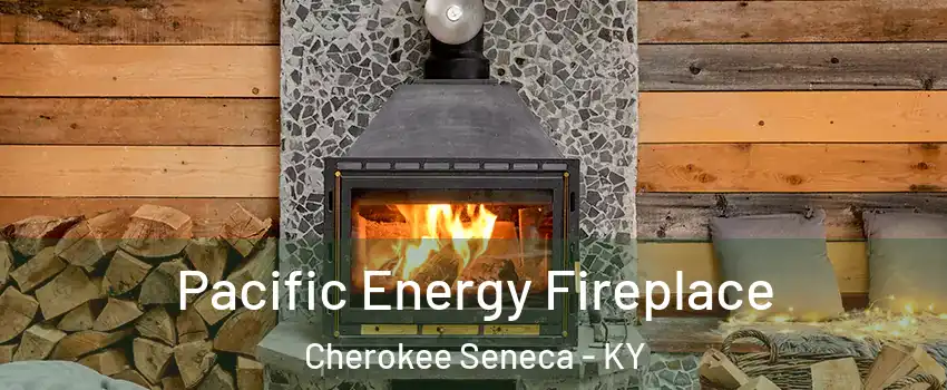 Pacific Energy Fireplace Cherokee Seneca - KY