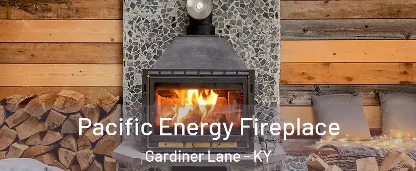 Pacific Energy Fireplace Gardiner Lane - KY