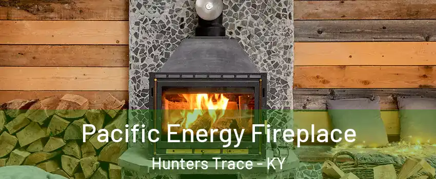 Pacific Energy Fireplace Hunters Trace - KY