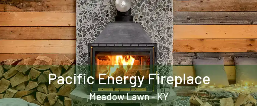 Pacific Energy Fireplace Meadow Lawn - KY