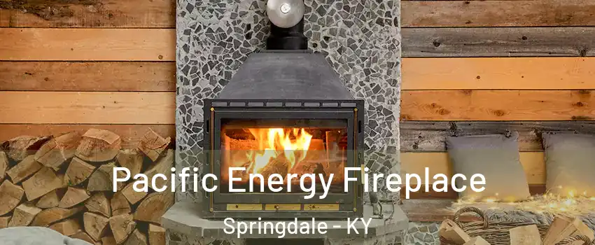 Pacific Energy Fireplace Springdale - KY