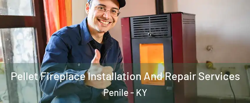 Pellet Fireplace Installation And Repair Services Penile - KY