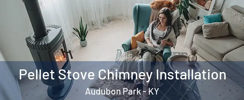 Pellet Stove Chimney Installation Audubon Park - KY