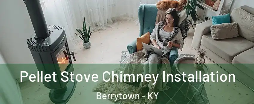 Pellet Stove Chimney Installation Berrytown - KY