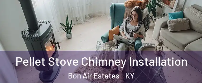 Pellet Stove Chimney Installation Bon Air Estates - KY