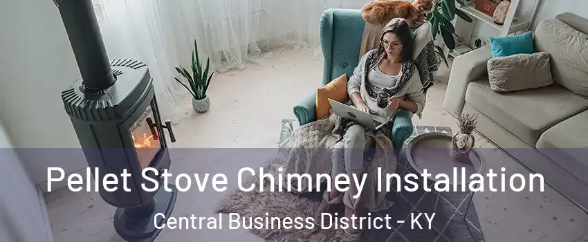 Pellet Stove Chimney Installation Central Business District - KY