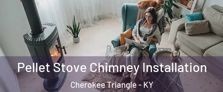 Pellet Stove Chimney Installation Cherokee Triangle - KY