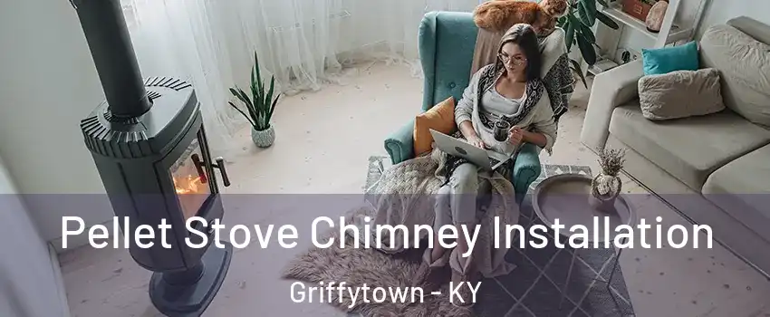 Pellet Stove Chimney Installation Griffytown - KY