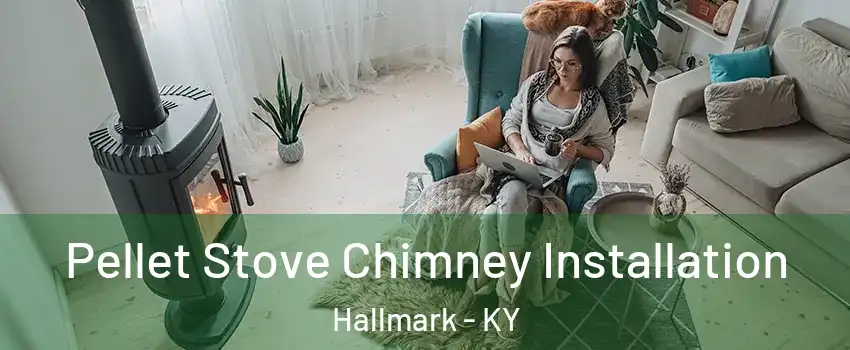 Pellet Stove Chimney Installation Hallmark - KY