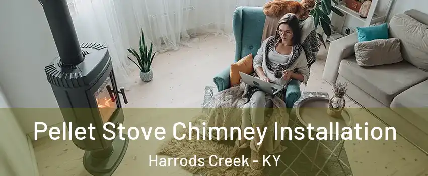 Pellet Stove Chimney Installation Harrods Creek - KY